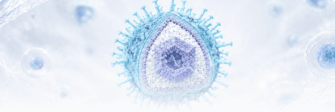 Herpes Virus